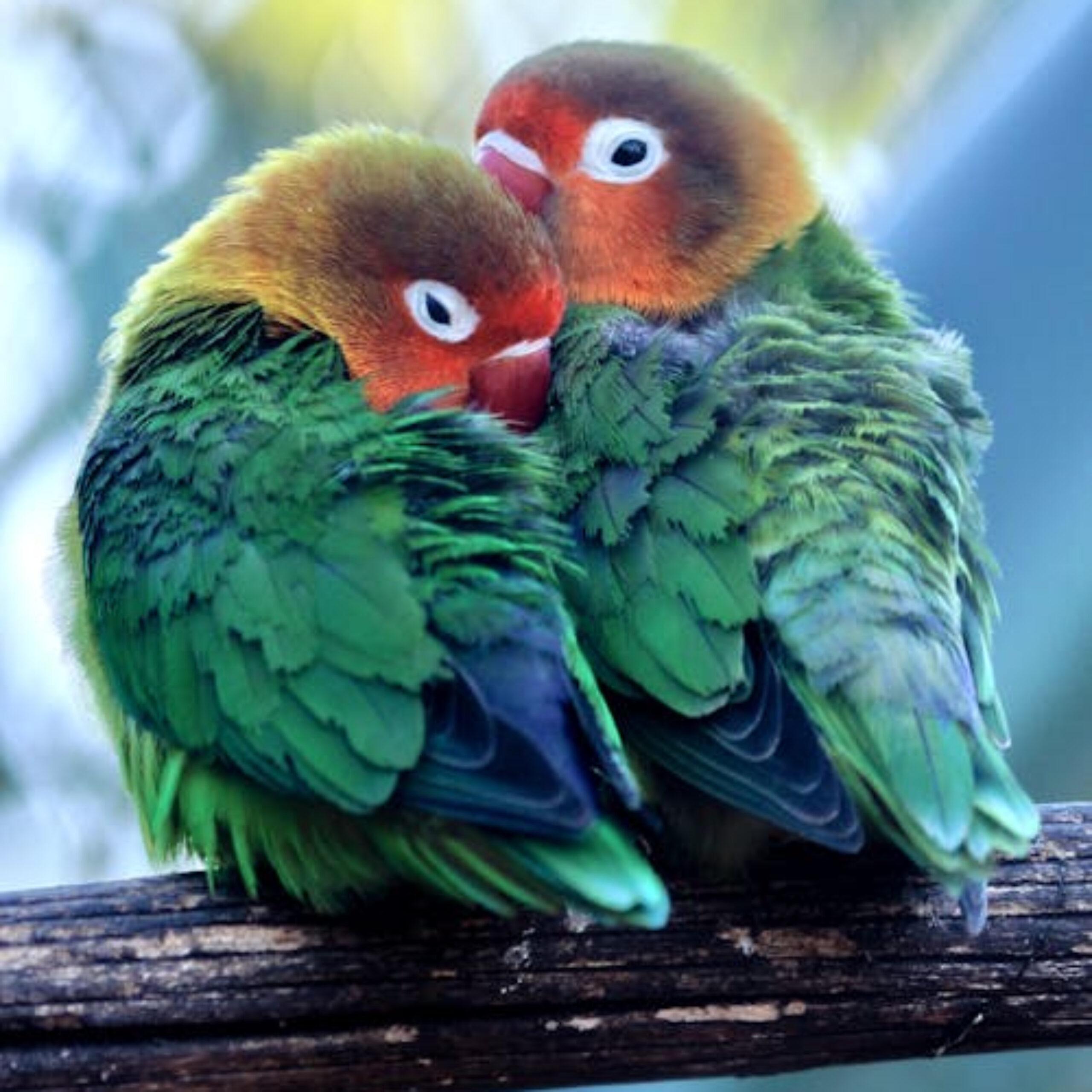 Khám Phá Thế Giới Thú Vị Của Truc Tiep Mb Những Điều Chưa Từng Biết