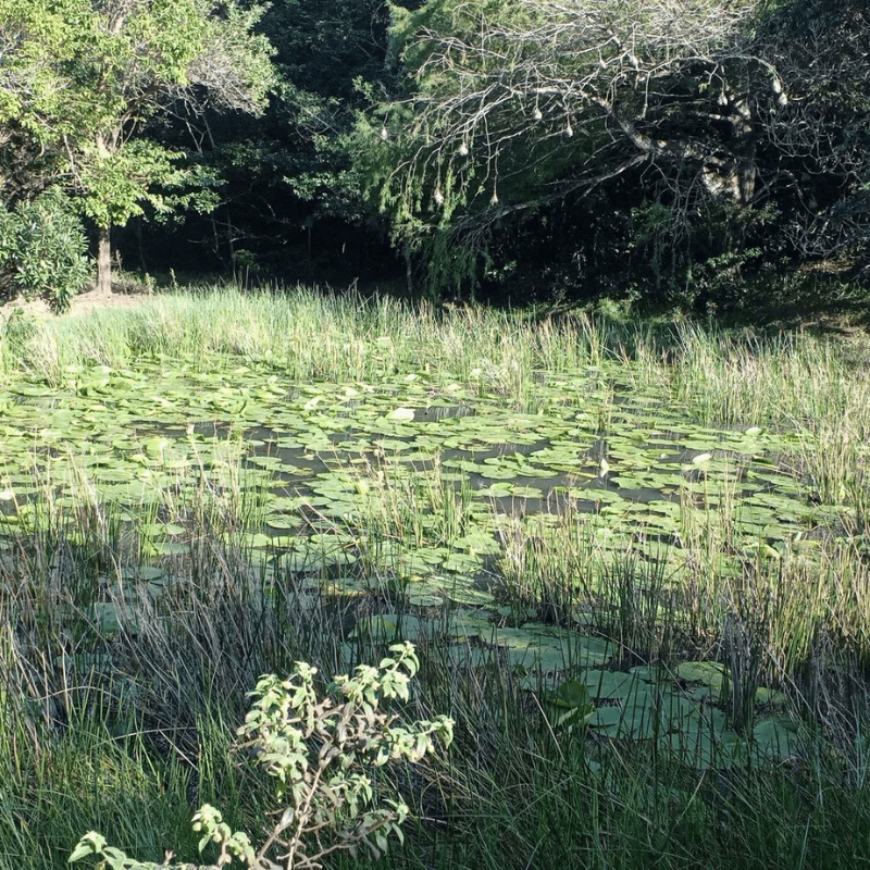 Khám Phá Thế Giới Giải Trí Trực Tuyến Tại Https Yeu88.Eu.Com Hành Trình Hấp Dẫn Đầy Thú Vị