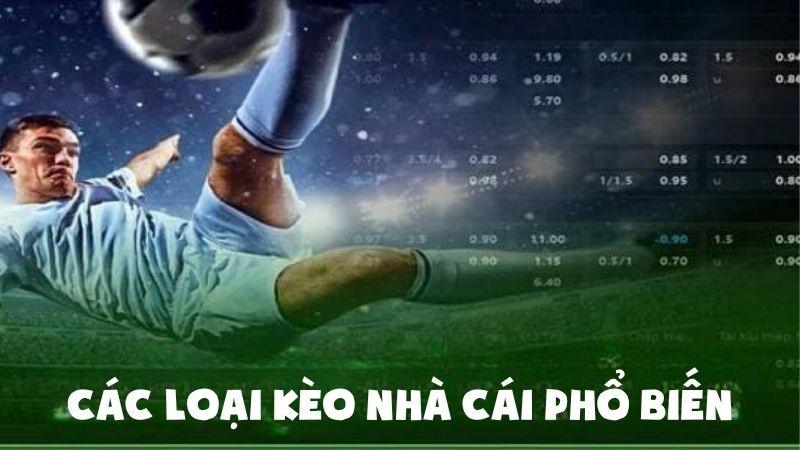 Tỷ Lệ Kèo Nhà Cái Bí Mật Soi Kèo Thắng Lớn Mọi Trận Đấu