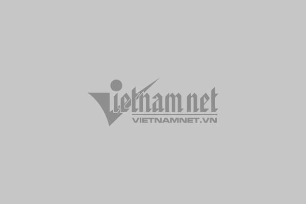 Khám Phá Thế Giới Phímex Tiêu Chí Chọn Lựa & Kinh Nghiệm Cá Nhân