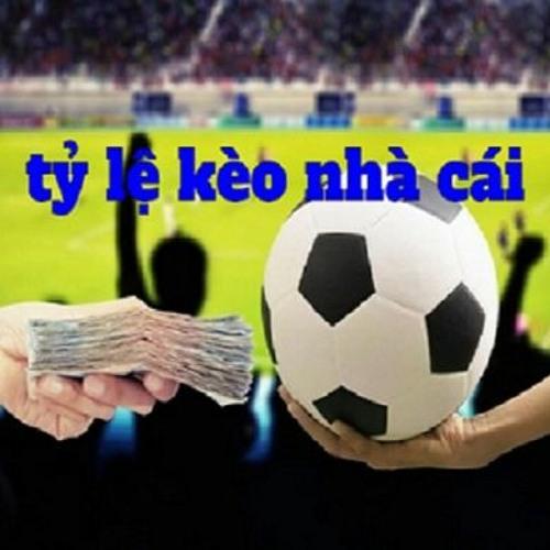 Mua Đất Hòa Vang Đà Nẵng Bí Quyết Chọn Lựa Chính Xác Để Chiến Thắng Cuộc Đua Đặt Cược