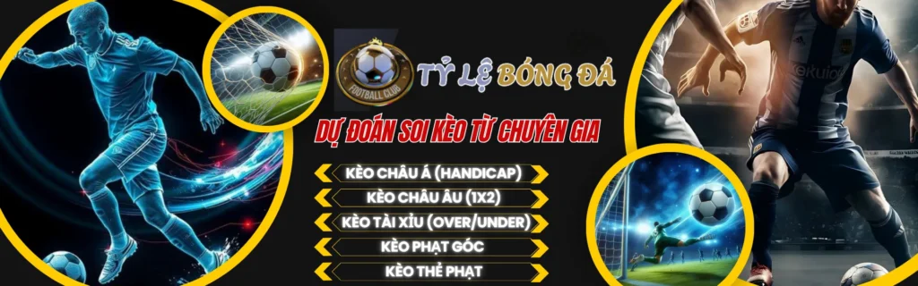 Bán Đất Golden Hill Đà Nẵng Hôm Nay Bí Mật Soi Kèo Từ Chuyên Gia
