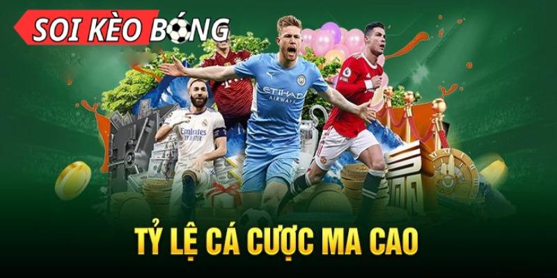 Phim Du Nhau Bí Quyết Làm Giàu Từ Các Dự Đoán Chính Xác Và Phân Tích Chuyên Sâu